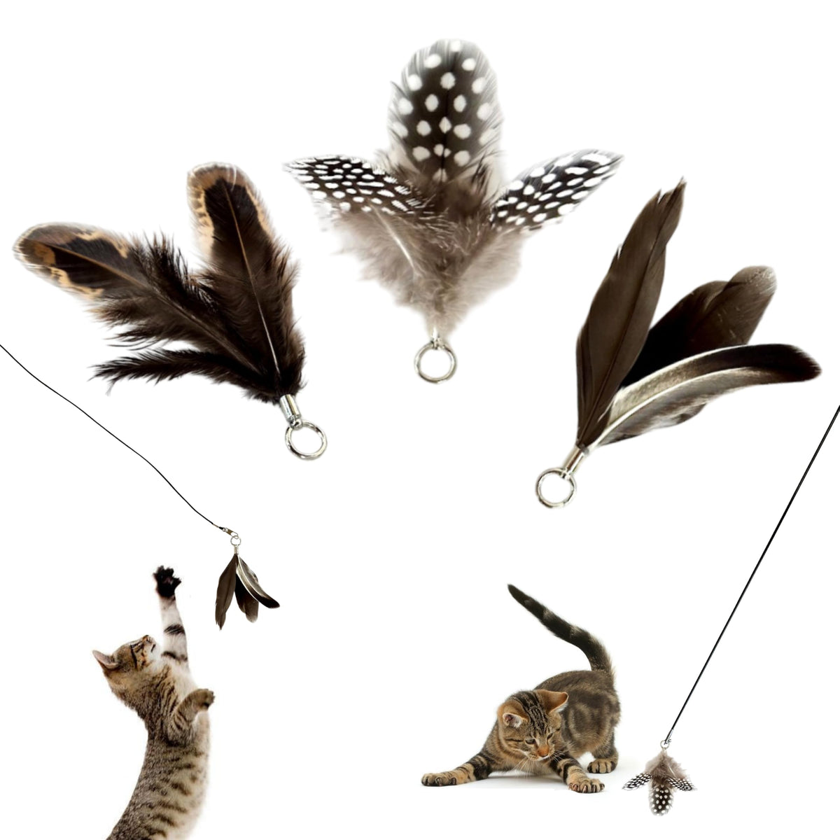 Repounce plumas reemplazo tres piezas: plumas pequeñas para gatitos que estimulan la caza.