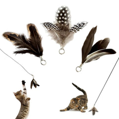 Repounce plumas reemplazo tres piezas: plumas pequeñas para gatitos que estimulan la caza.