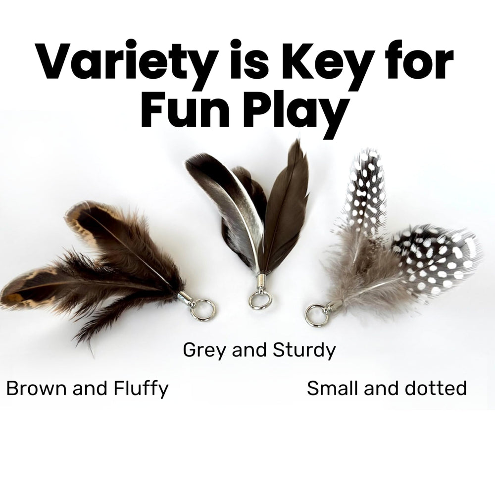 Repounce plumas de repuesto: juego seguro para interiores y gatitos curiosos.