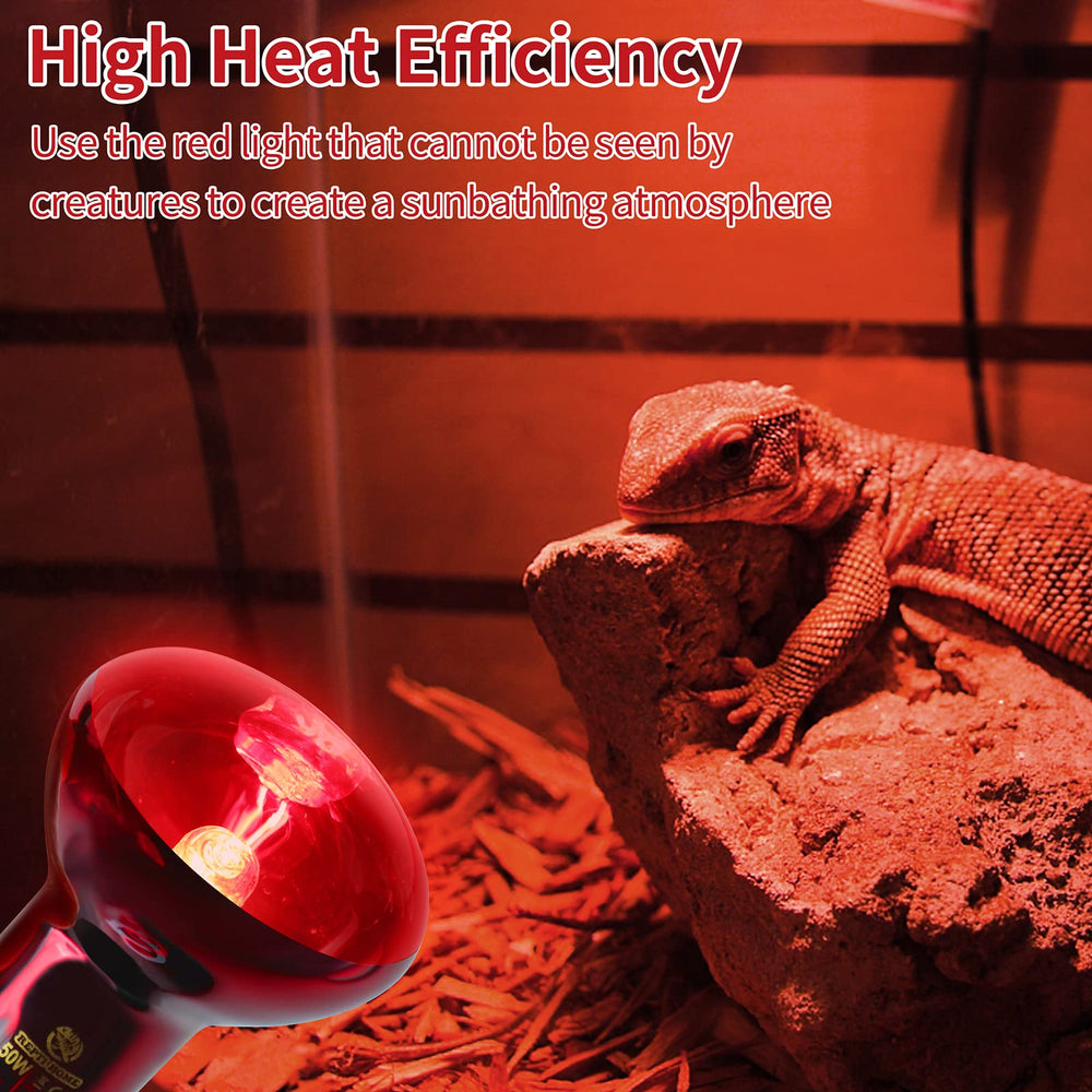 La imagen muestra un ambiente natural con REPTI HOME para reptiles y anfibios.