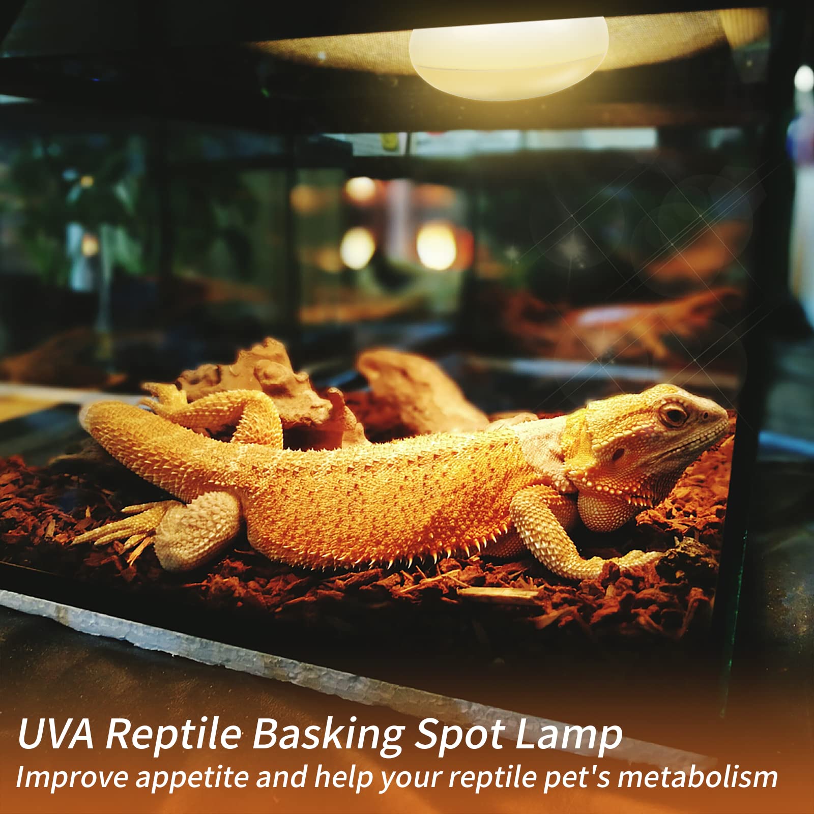 REPTI HOME basking para dragon barbudo, zona de calor segura