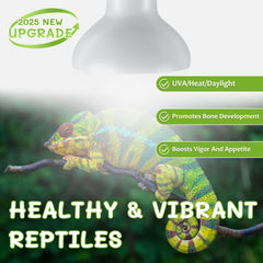 REPTI HOME bombilla para dragon barbado, ayuda a regular su temperatura diurna.