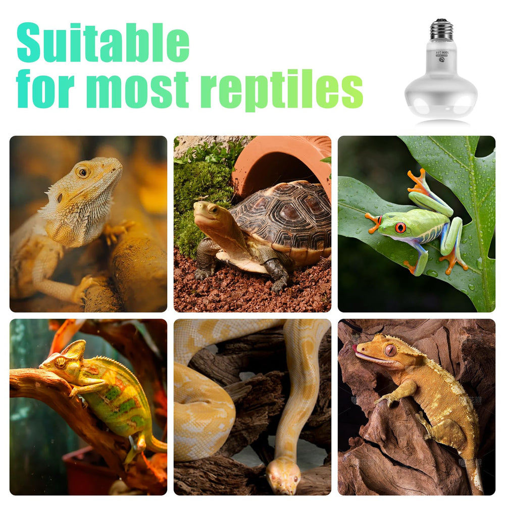 REPTI HOME compatible con varios reptiles y anfibios: amplio rango de terrarios.