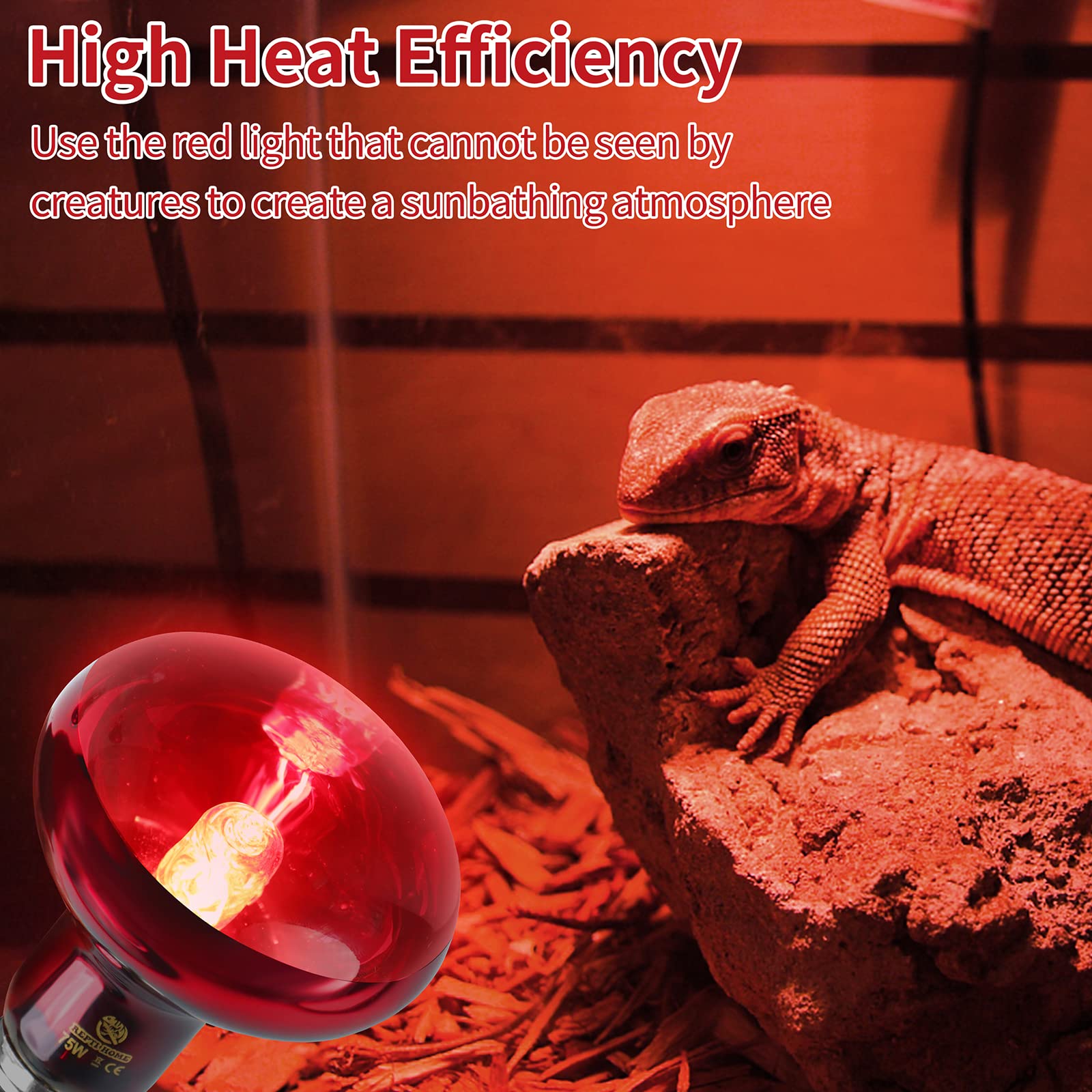 REPTI HOME entorno-natural para reptiles y anfibios facilita comportamiento natural