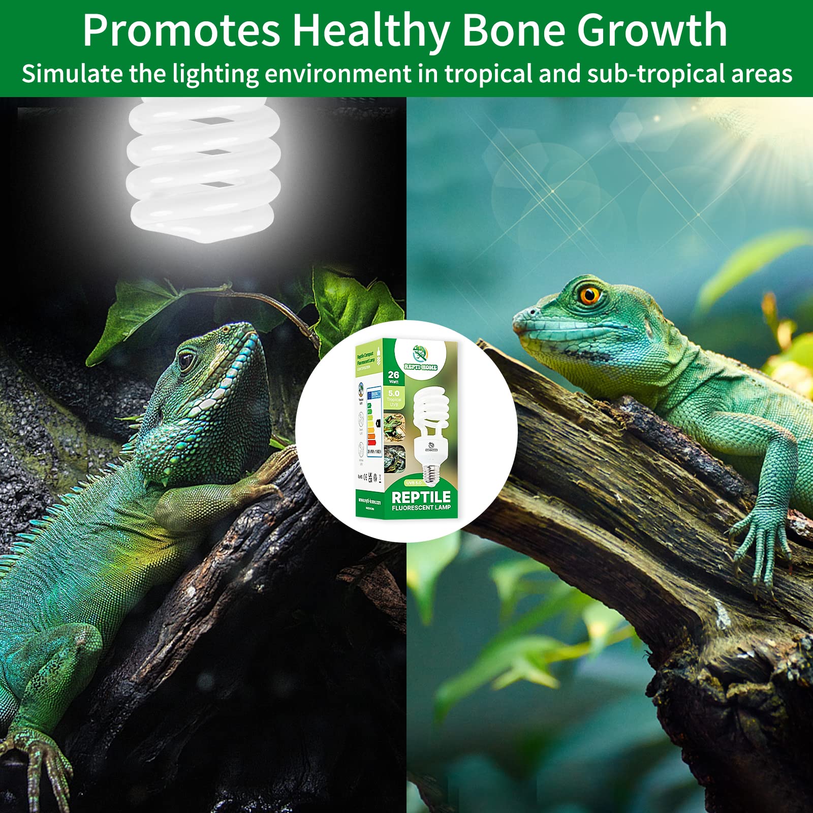 REPTI HOME Iguanas con UVB favorecen movilidad y actividad diurna.