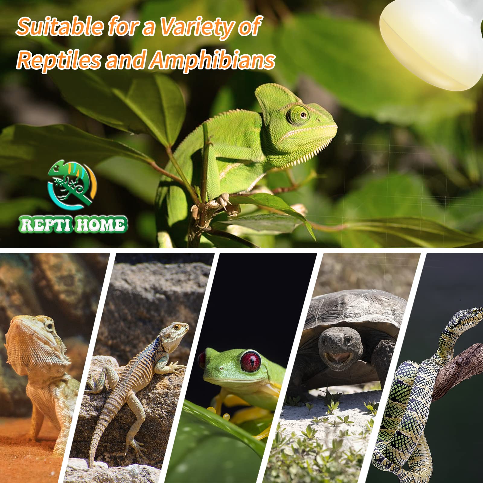 REPTI HOME iluminación diurna para reptiles, mejora apetito y digestión