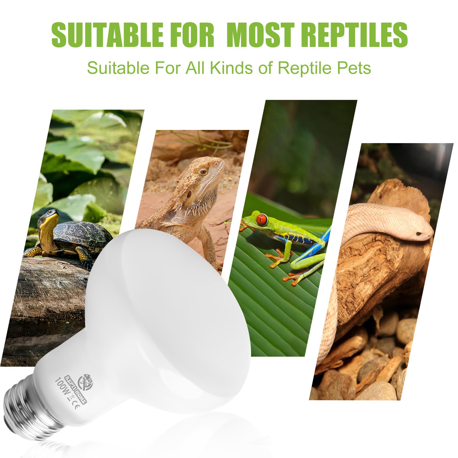 REPTI HOME iluminacion para tortugas, crea zona cálida para tomar el sol.