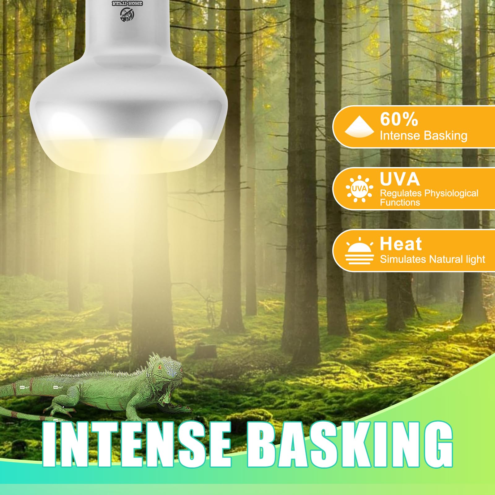 Luz UVA REPTI HOME imita luz natural para terrario seguro