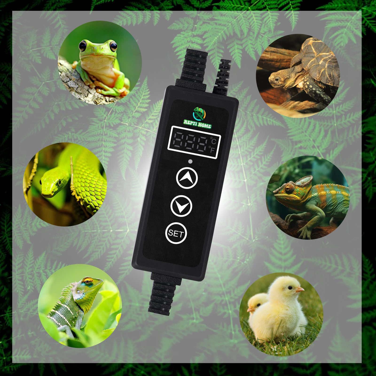 REPTI HOME mantiene memoria de fallo y alertas de seguridad.