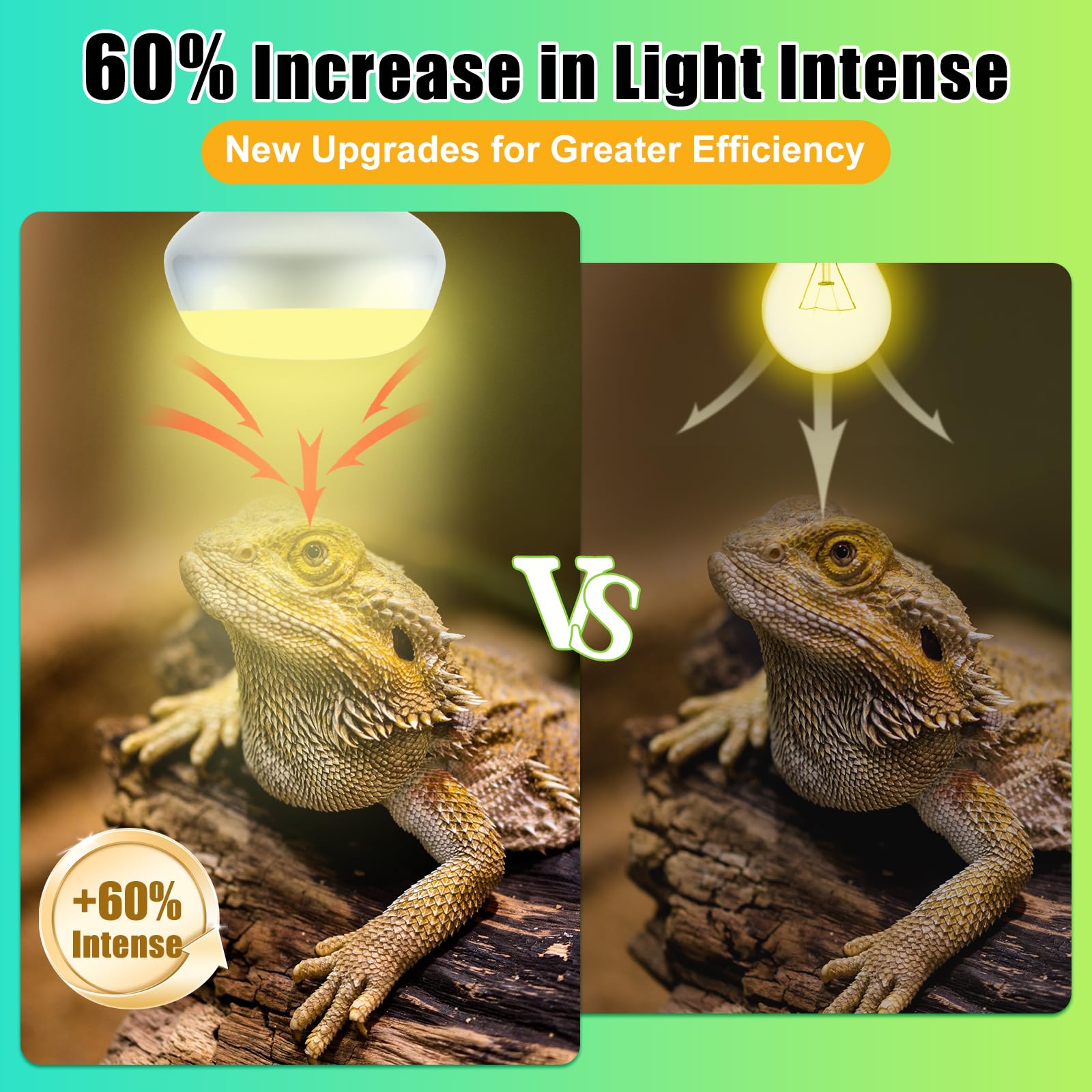 REPTI HOME simulación luz solar natural: terrario más cercano a la naturaleza.