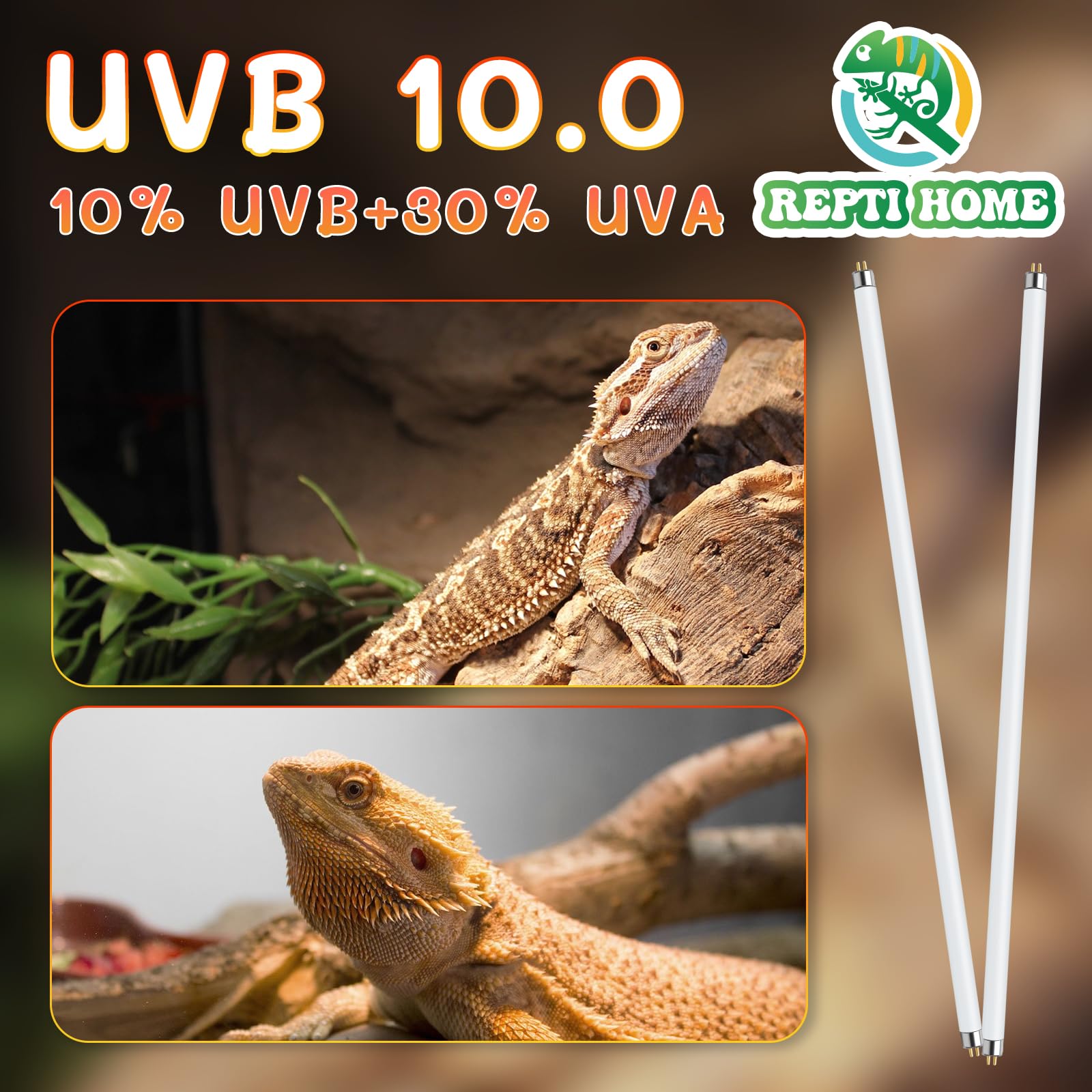 Luz UVB para lagartos, soporte de calcio y vitamina D