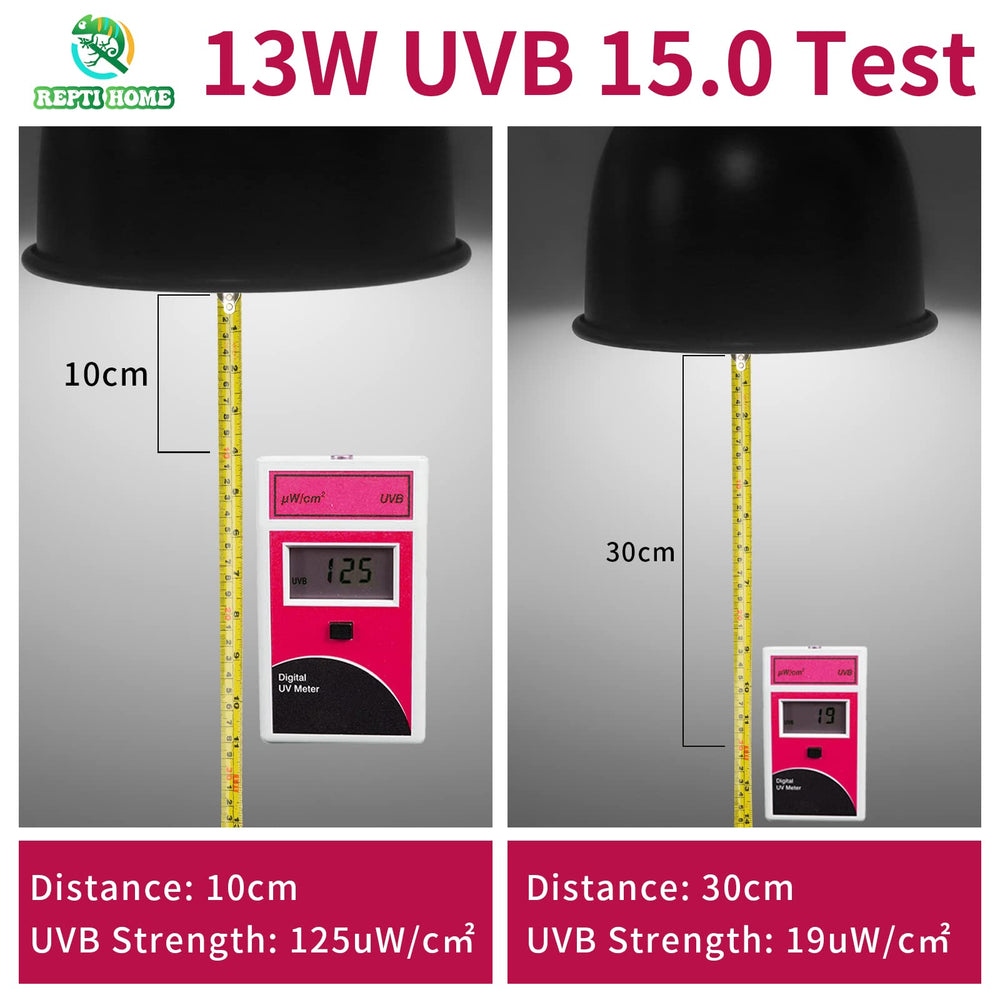 Terrario desértico iluminado con UVB REPTI HOME