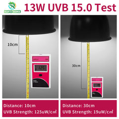 Terrario desértico iluminado con UVB REPTI HOME