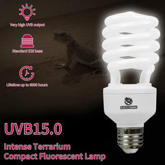 Reptiles explorando terrario con iluminación UVA UVB de REPTI HOME