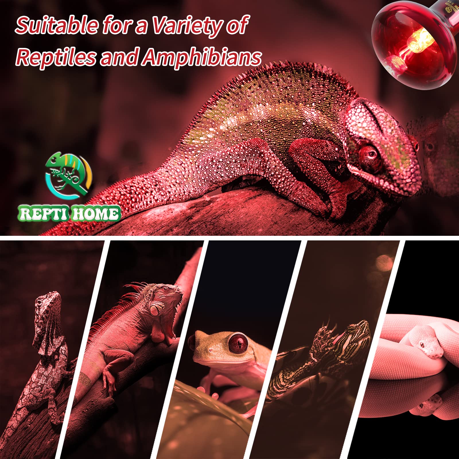 REPTI HOME uso en gallinero con calor suave para aves