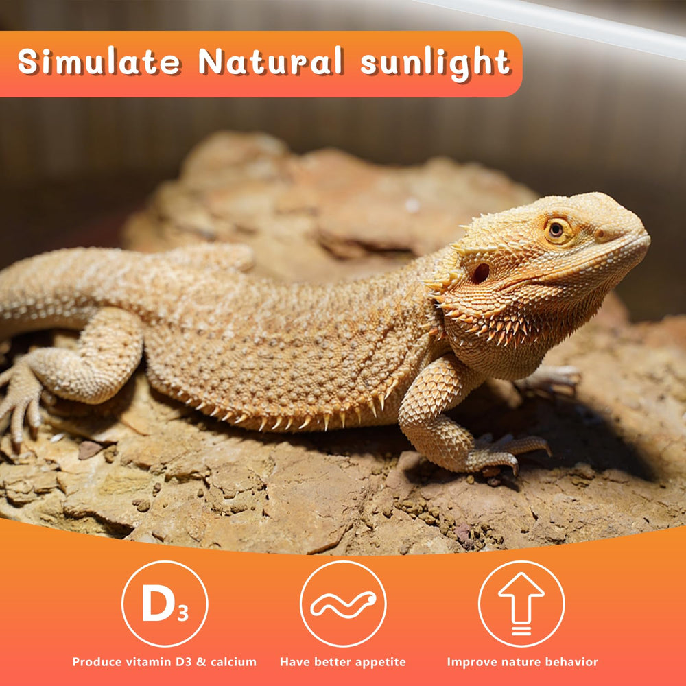 REPTI HOME UVB para dragón barbudo: ideal para reptiles tropicales.