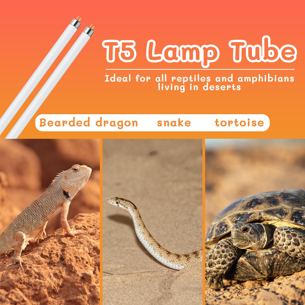 REPTI HOME UVB para geckos: iluminación estable para actividad y apetito.