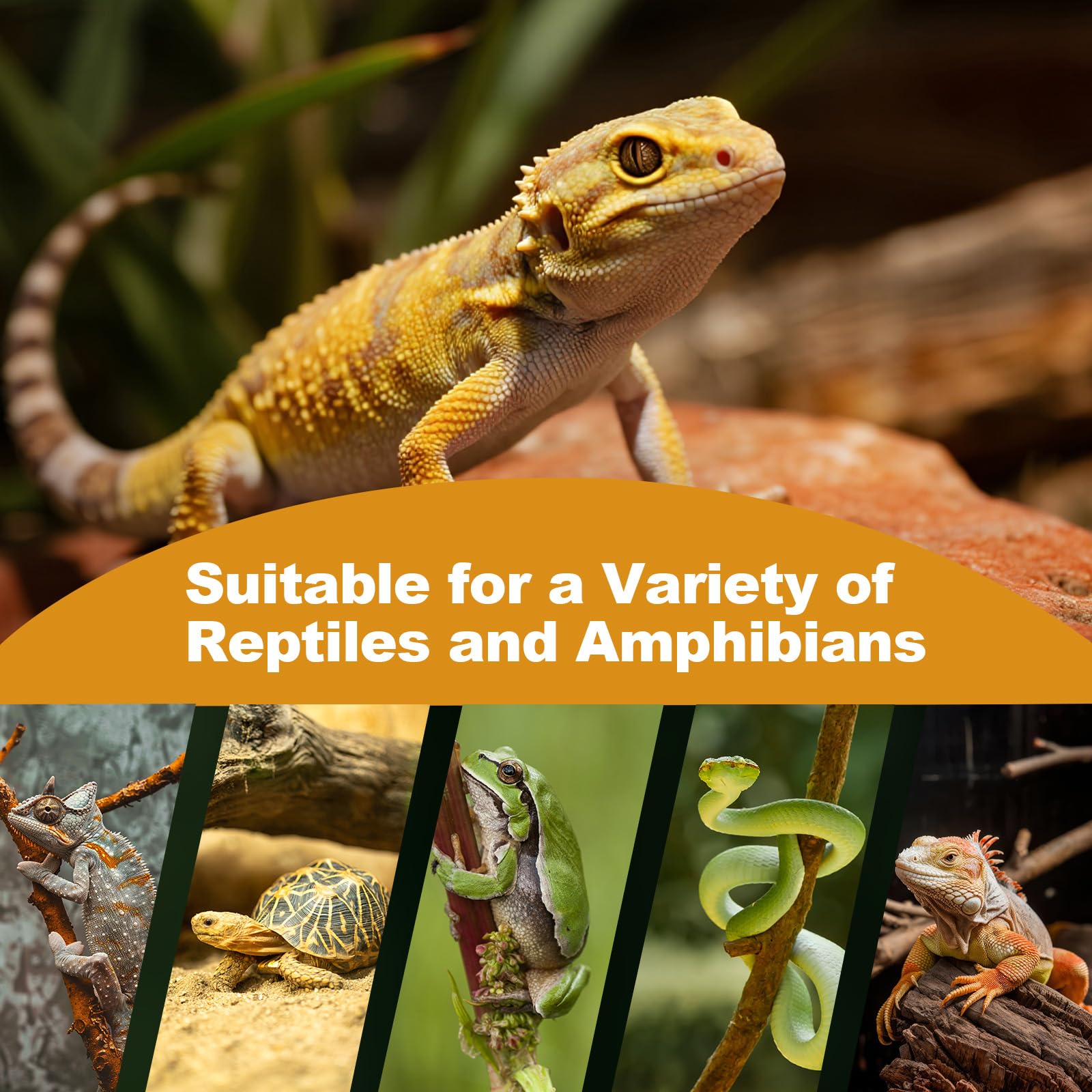 Uso versátil REPTI MATE para reptiles y criaderos.
