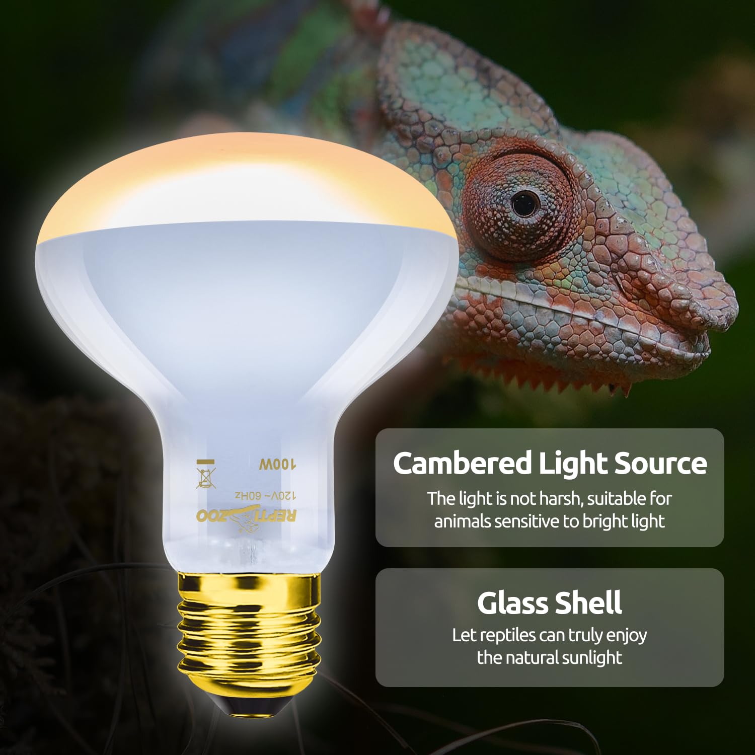 REPTI ZOO conjunto iluminación para reptiles diverso y fácil de usar