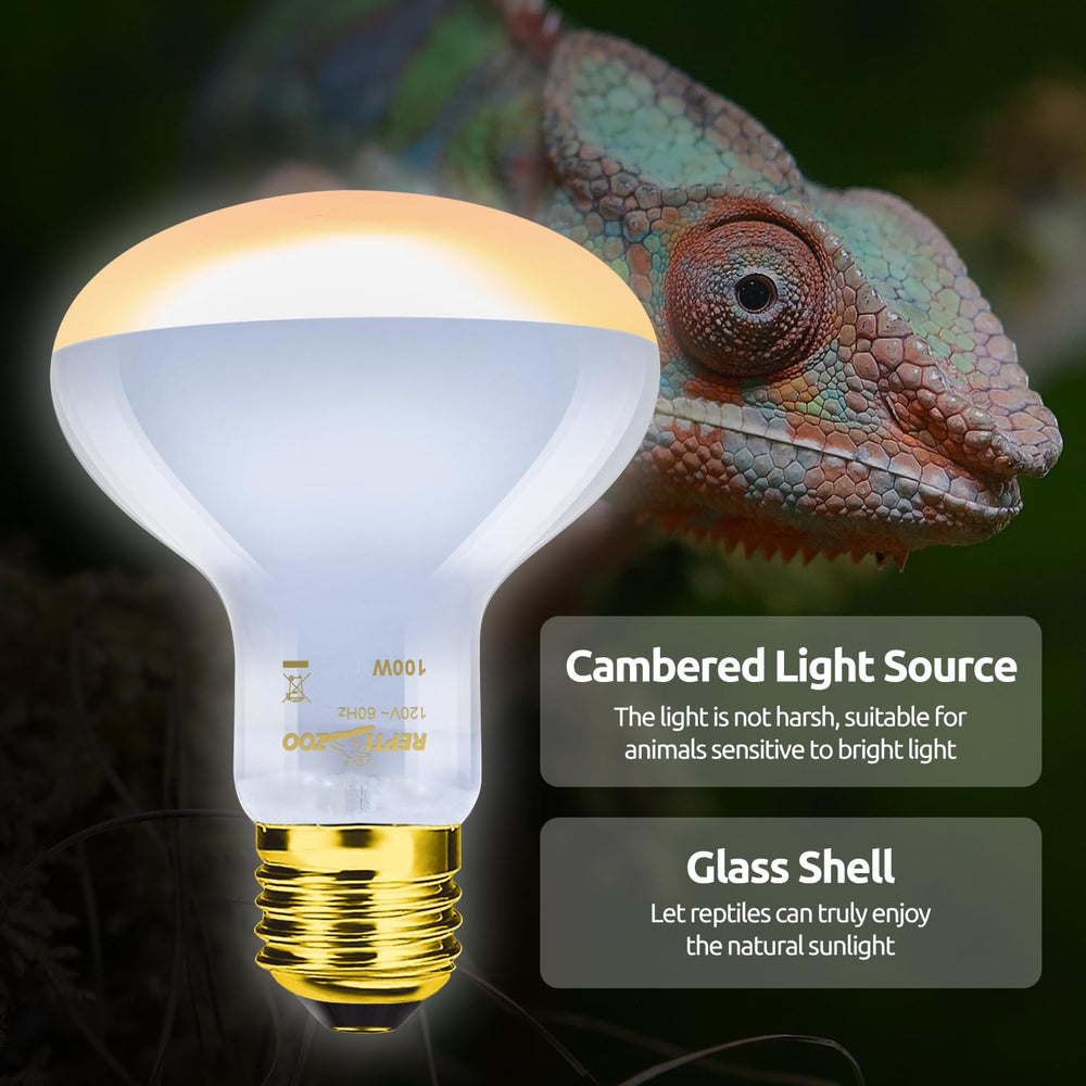 REPTI ZOO conjunto iluminación para reptiles diverso y fácil de usar