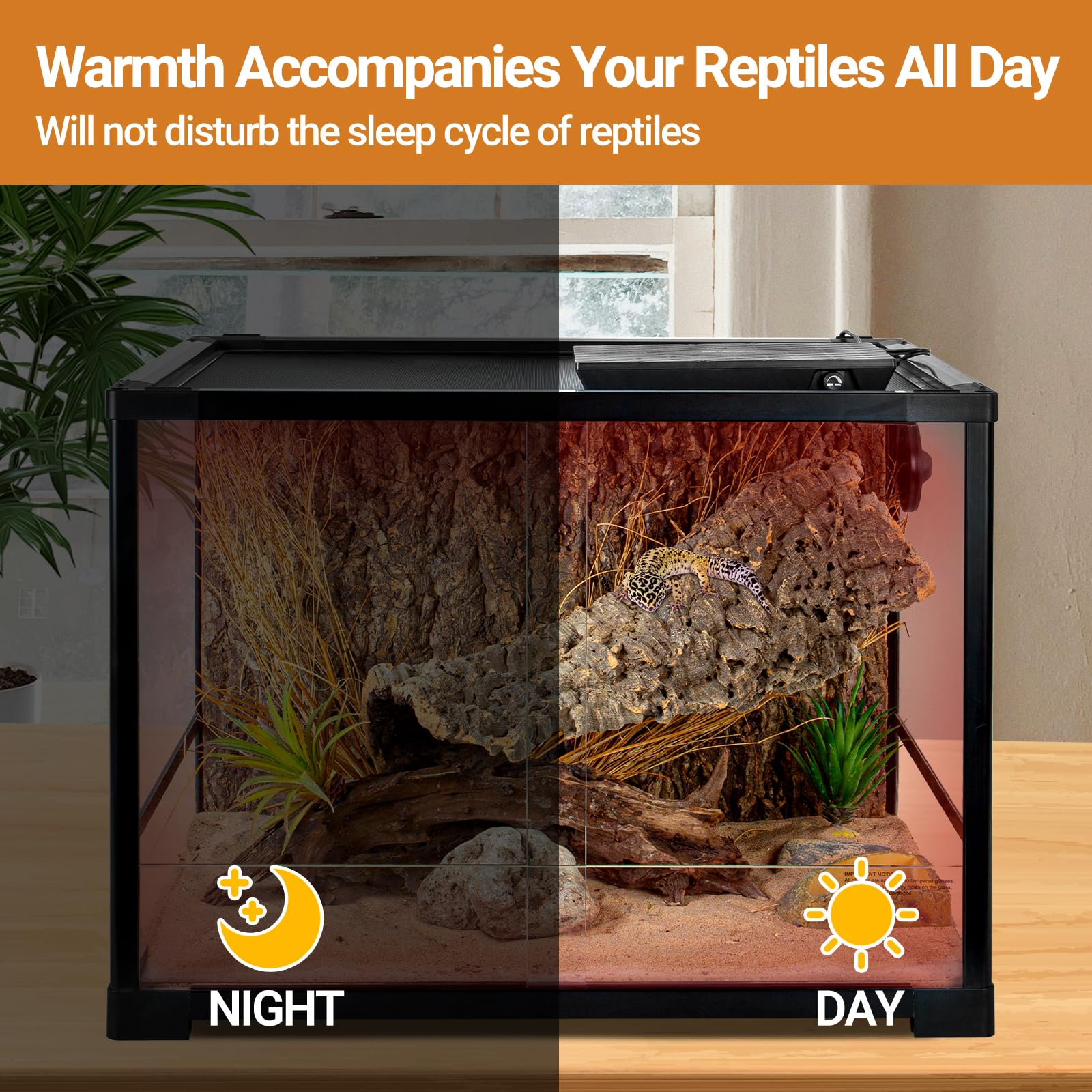 REPTI ZOO control temperatura ajustable: flexibilidad para distintas especies