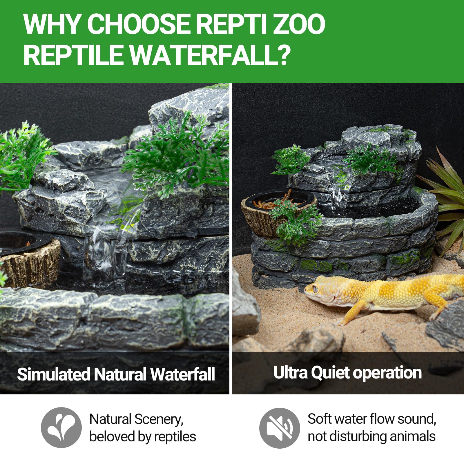 REPTI ZOO diseños decorativos para terrario que mejoran la estética