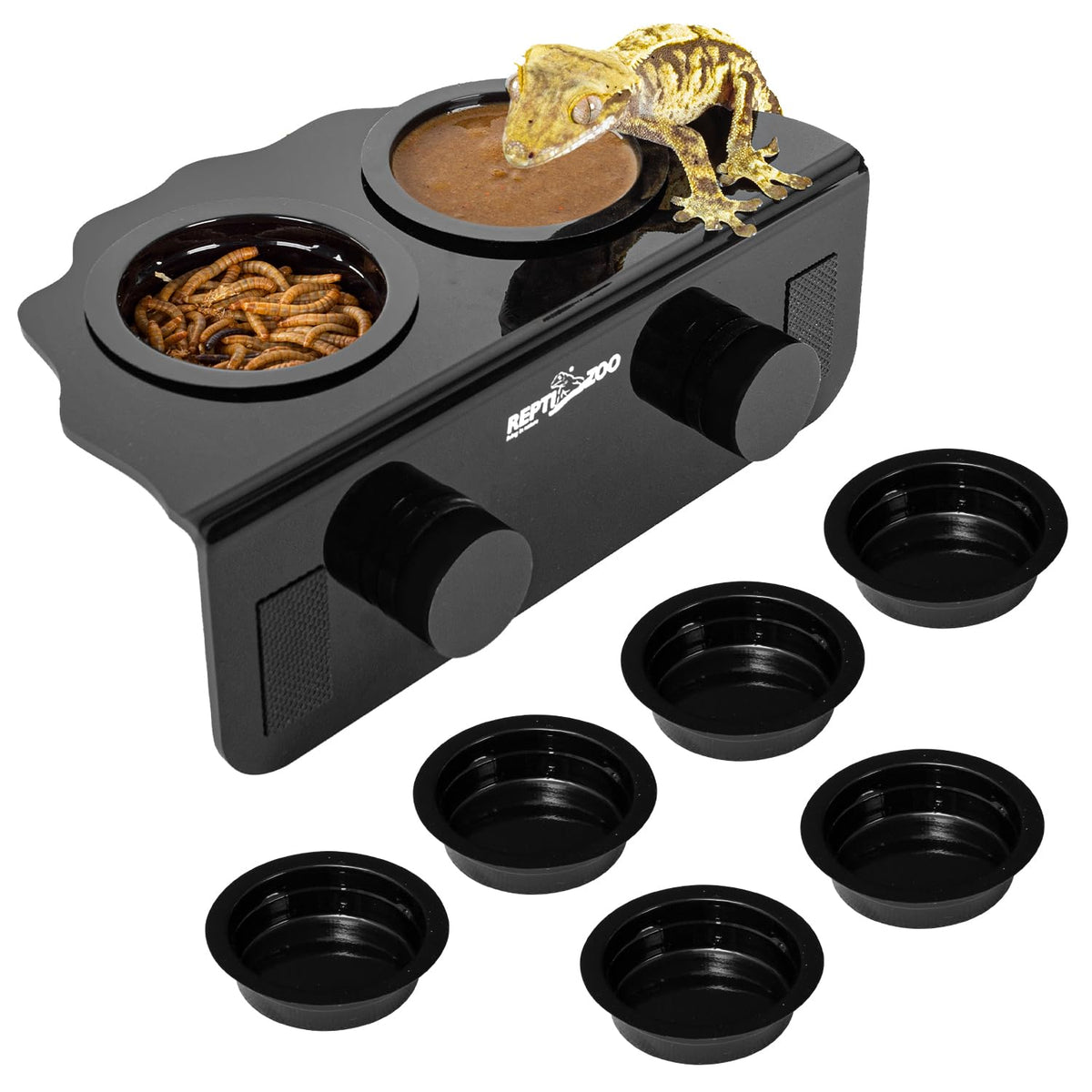 REPTI ZOO ledge magnético para geckos con 6 tazas de alimentación