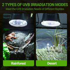 REPTI ZOO modo tropical: UVB adecuado para reptiles en hábitats tropicales