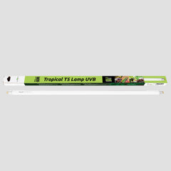 REPTI ZOO reptiles selva tropical, iluminación UVB para bienestar diario.