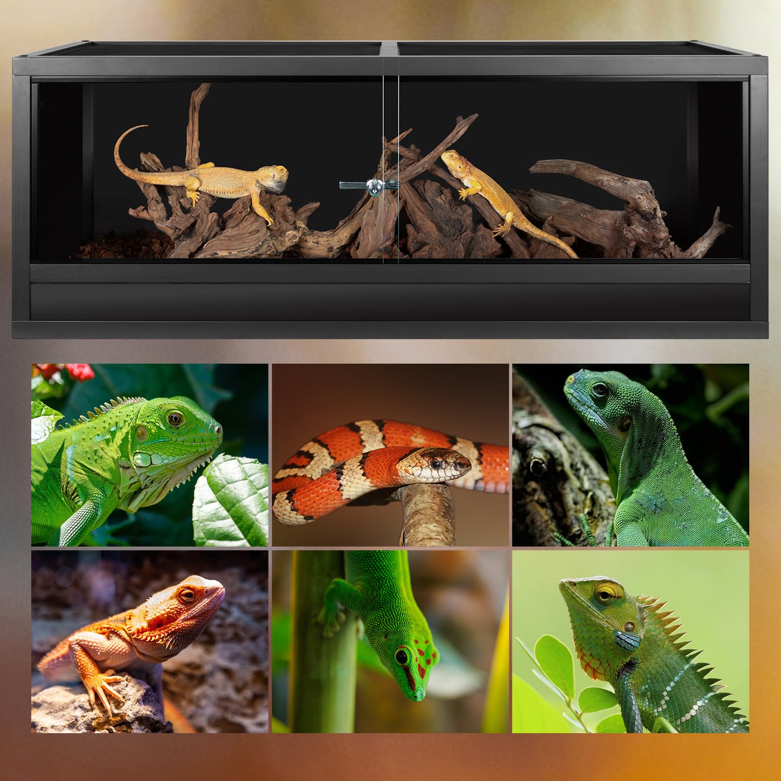 REPTI ZOO terrario 68 galones, dimensiones 48 x 18 x 18 pulgadas.