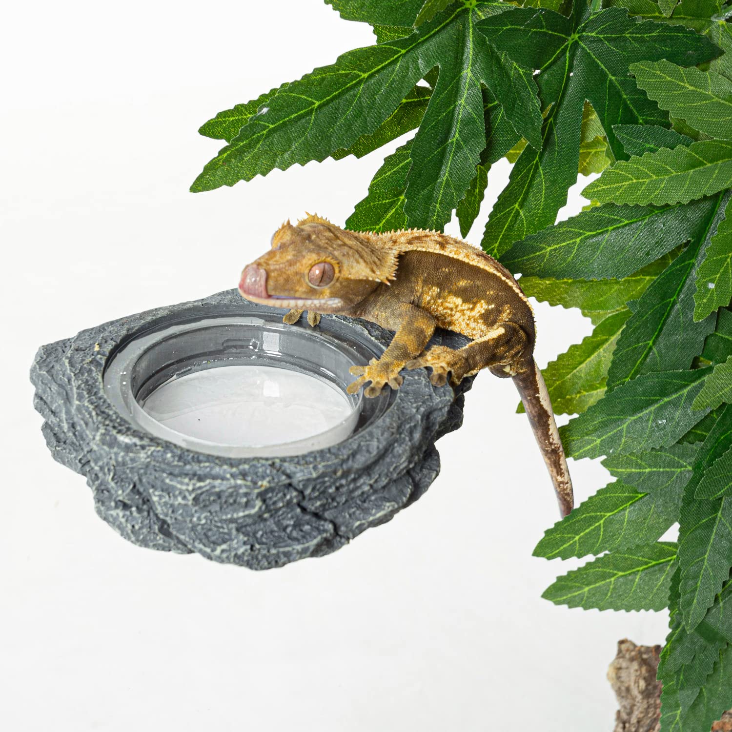 REPTI ZOO uso versátil para reptiles pequeños en casa