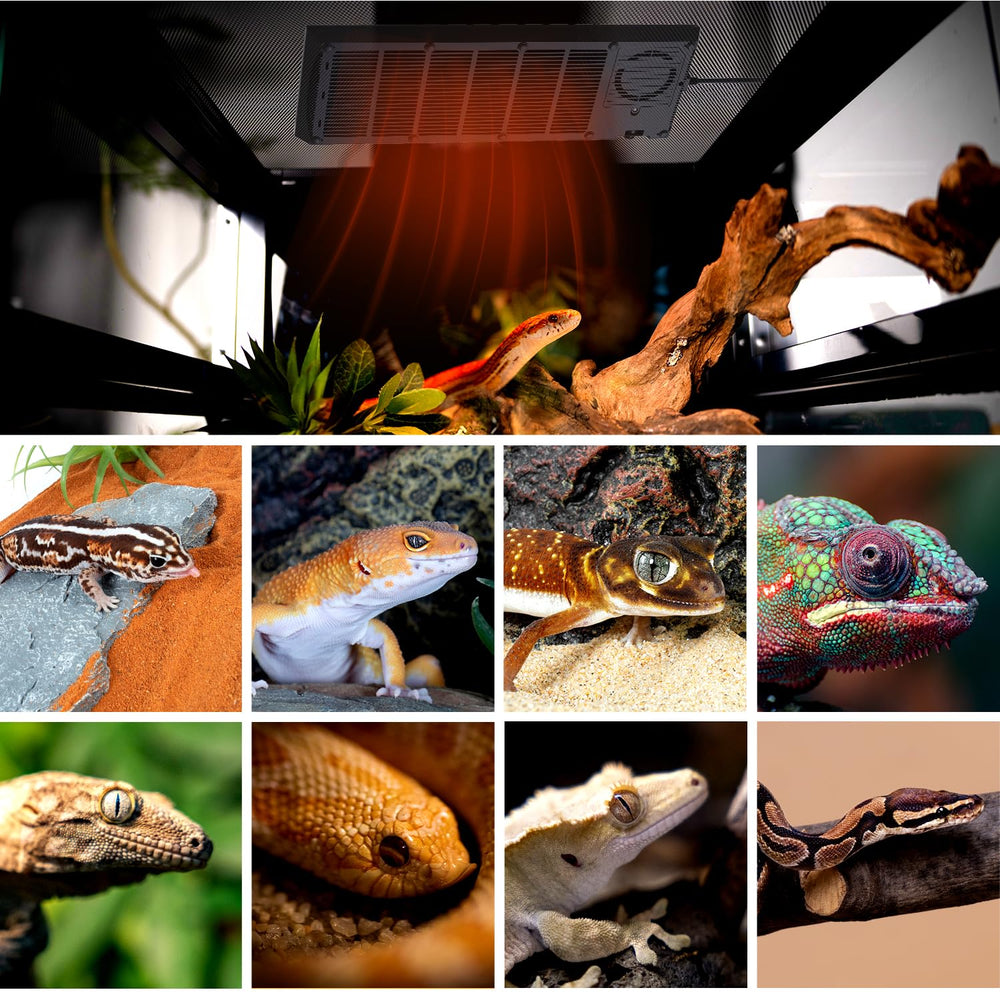 REPTI ZOO uso versátil para geckos tortugas serpientes