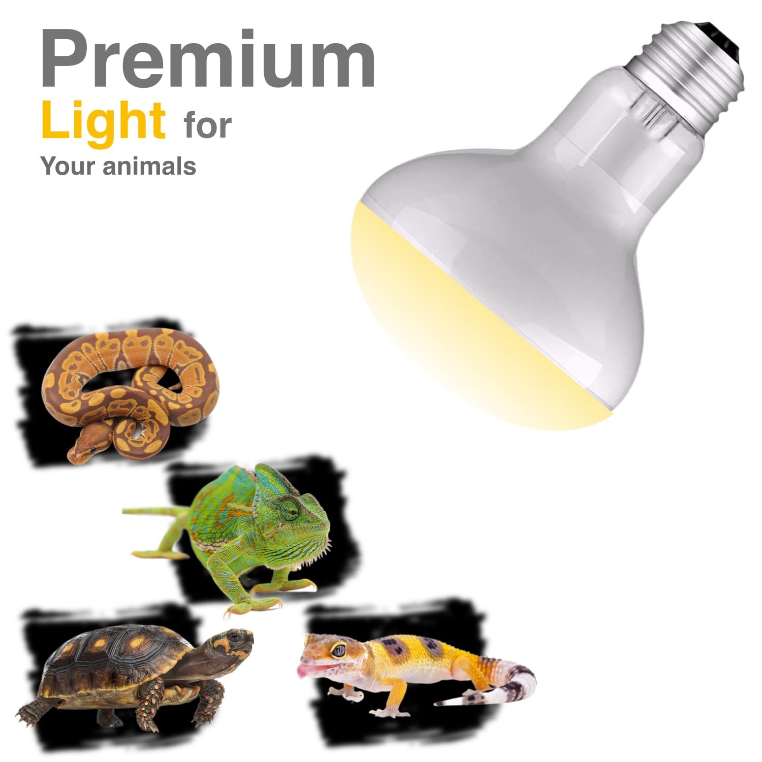 Kit de dos bombillas ReptiKing para reptiles, continuidad de iluminación diaria.