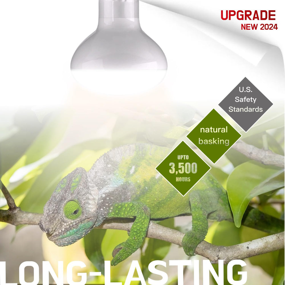 Luz de calor ReptiKing para reptil, ideal para zonas cálidas del terrario.