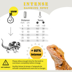 Luz UVA de ReptiKing para reptiles y anfibios.