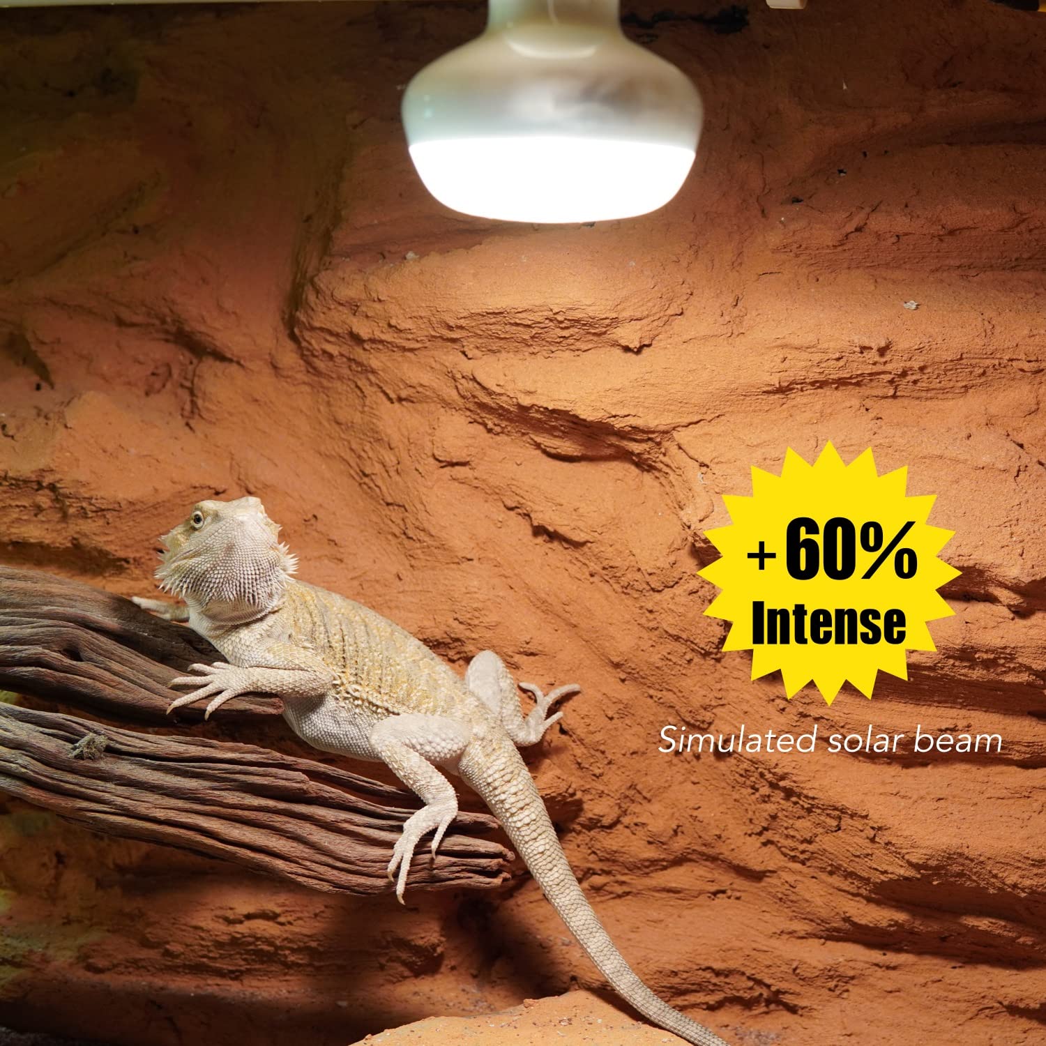 Lámpara de zona cálida para dragon barbudo en terrario.