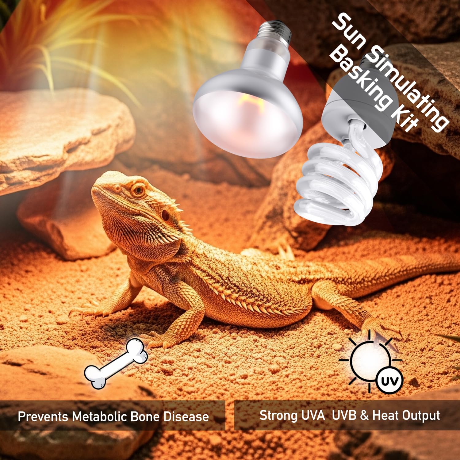 Paquete doble de luces ReptiKing para reptiles, solución completa para terrarios.