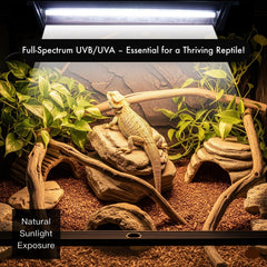 ReptiKing T5 HO UVB alcance-12-18-pulgadas, ilumina zonas clave del terrario.