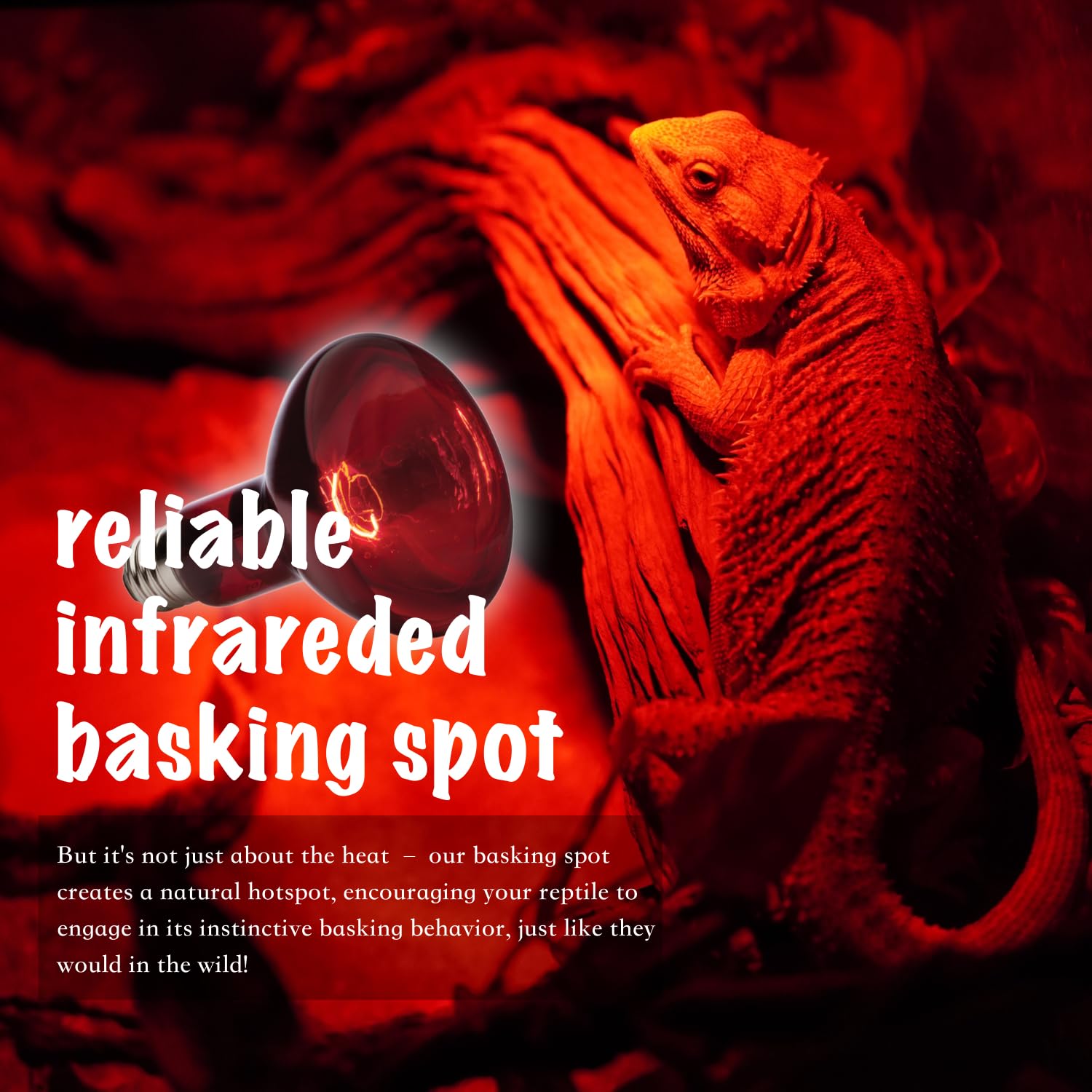 ReptiKing uso en terrario para reptiles diversos y anfibios