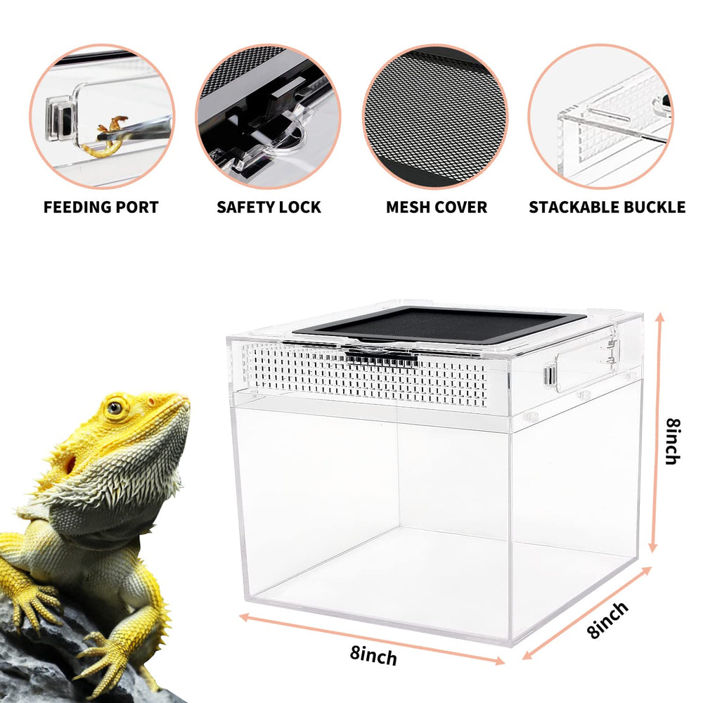 Reptile Growth mini terrario, malla superior para ventilación eficiente.