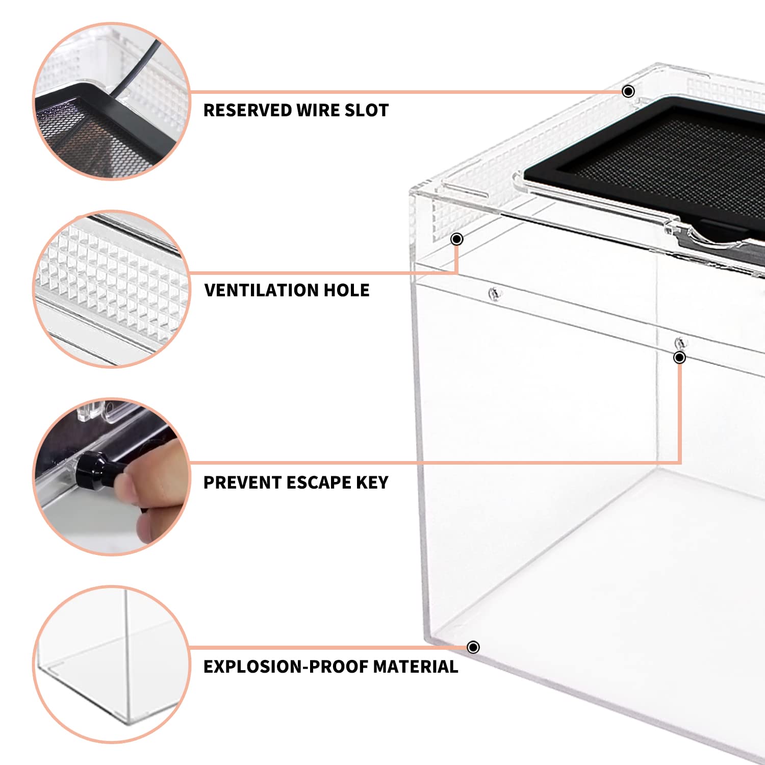 Reptile Growth mini terrario, PC resistente con alta claridad.
