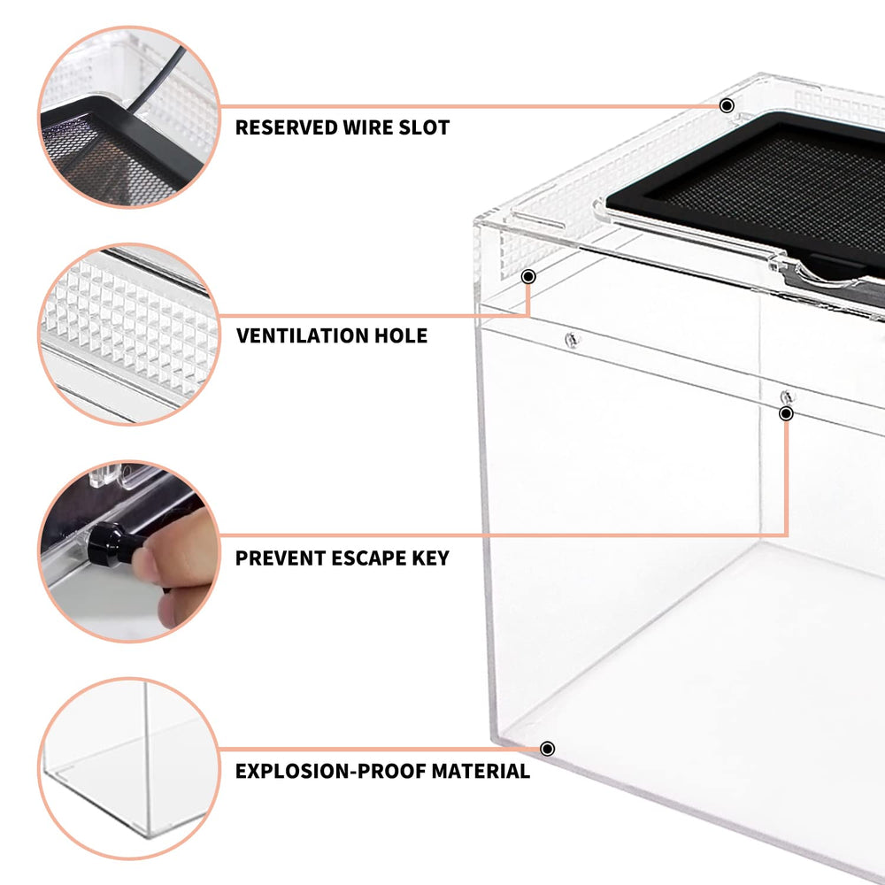 Reptile Growth mini terrario, PC resistente con alta claridad.