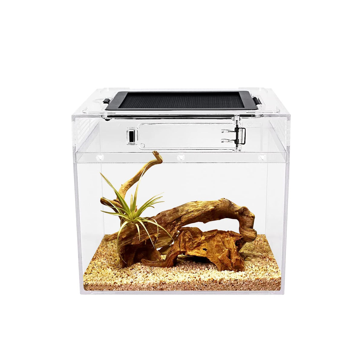 Reptile Growth mini terrario, vista frontal para inspección rápida.