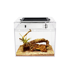 Reptile Growth mini terrario, vista frontal para inspección rápida.