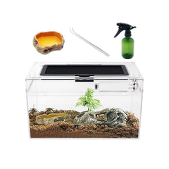 Reptile Growth mini terrario 12x7x6 vista 360 para observación clara