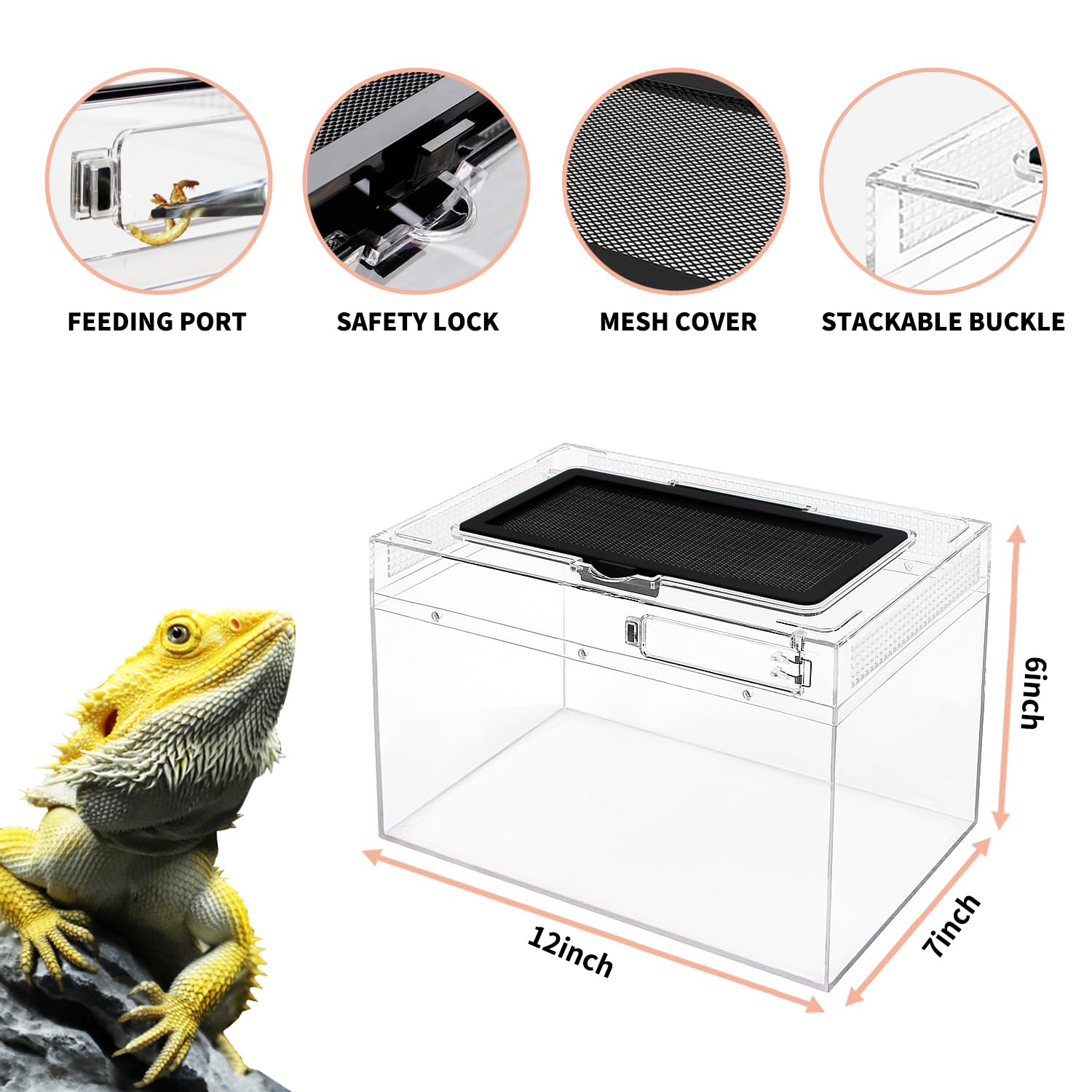 Reptile Growth mini terrario ventilación malla superior promueve flujo de aire