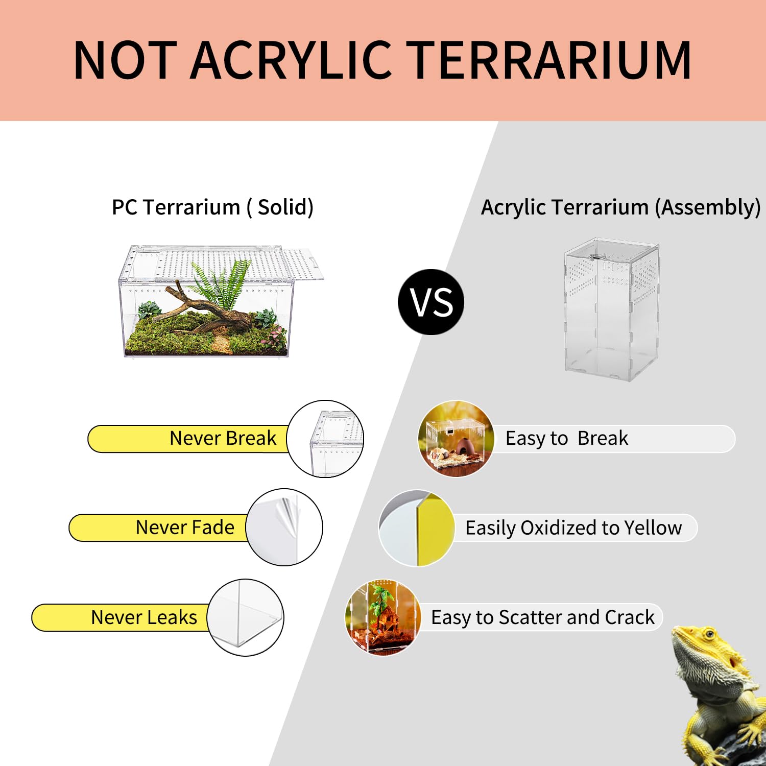 Reptile Growth: interior claro para observar comportamientos.
