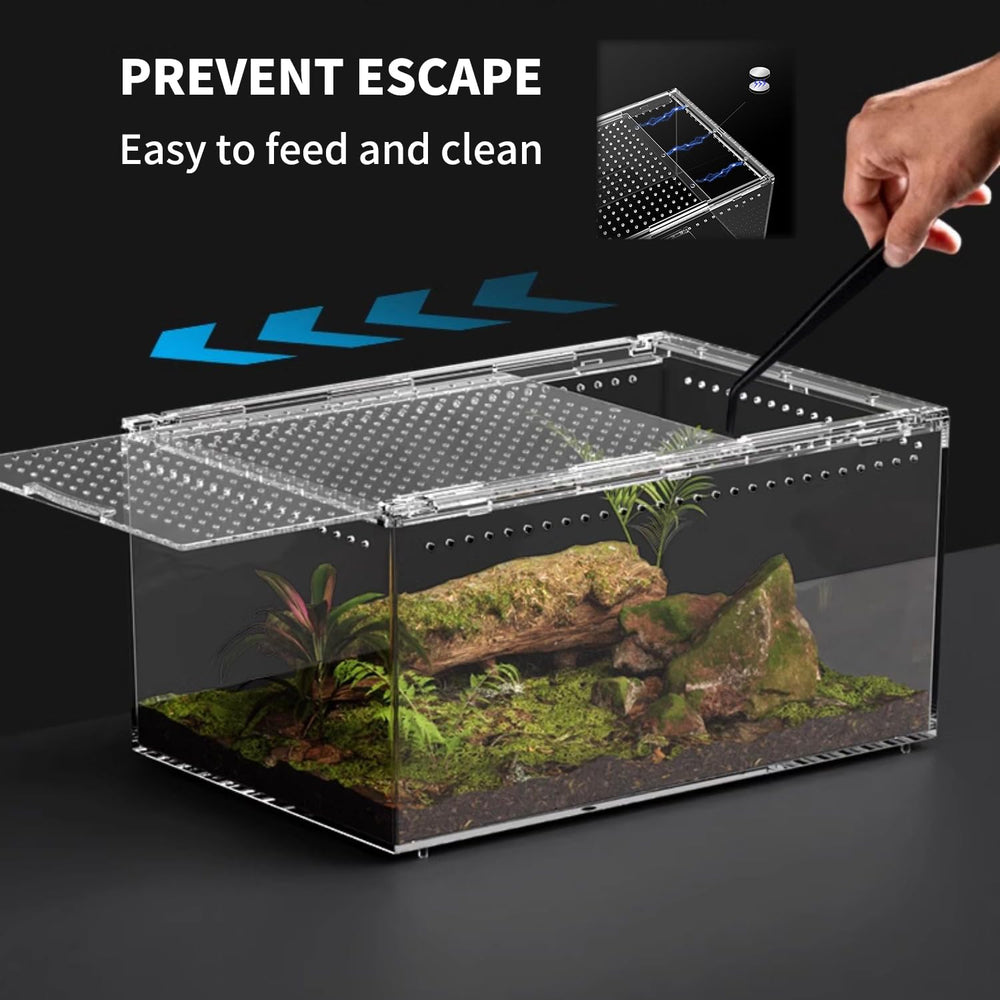 Reptile Growth: ventilación cruzada para aire estable.