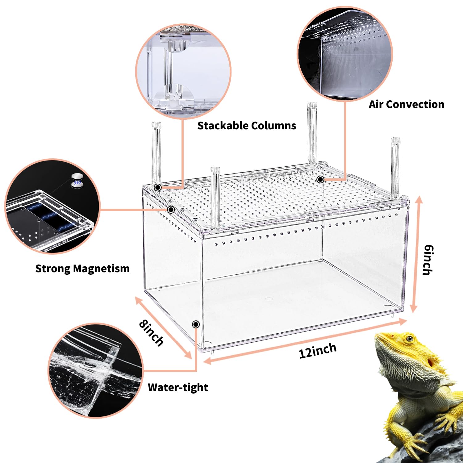 Ventilación cruzada de Reptile Growth para ambiente equilibrado.