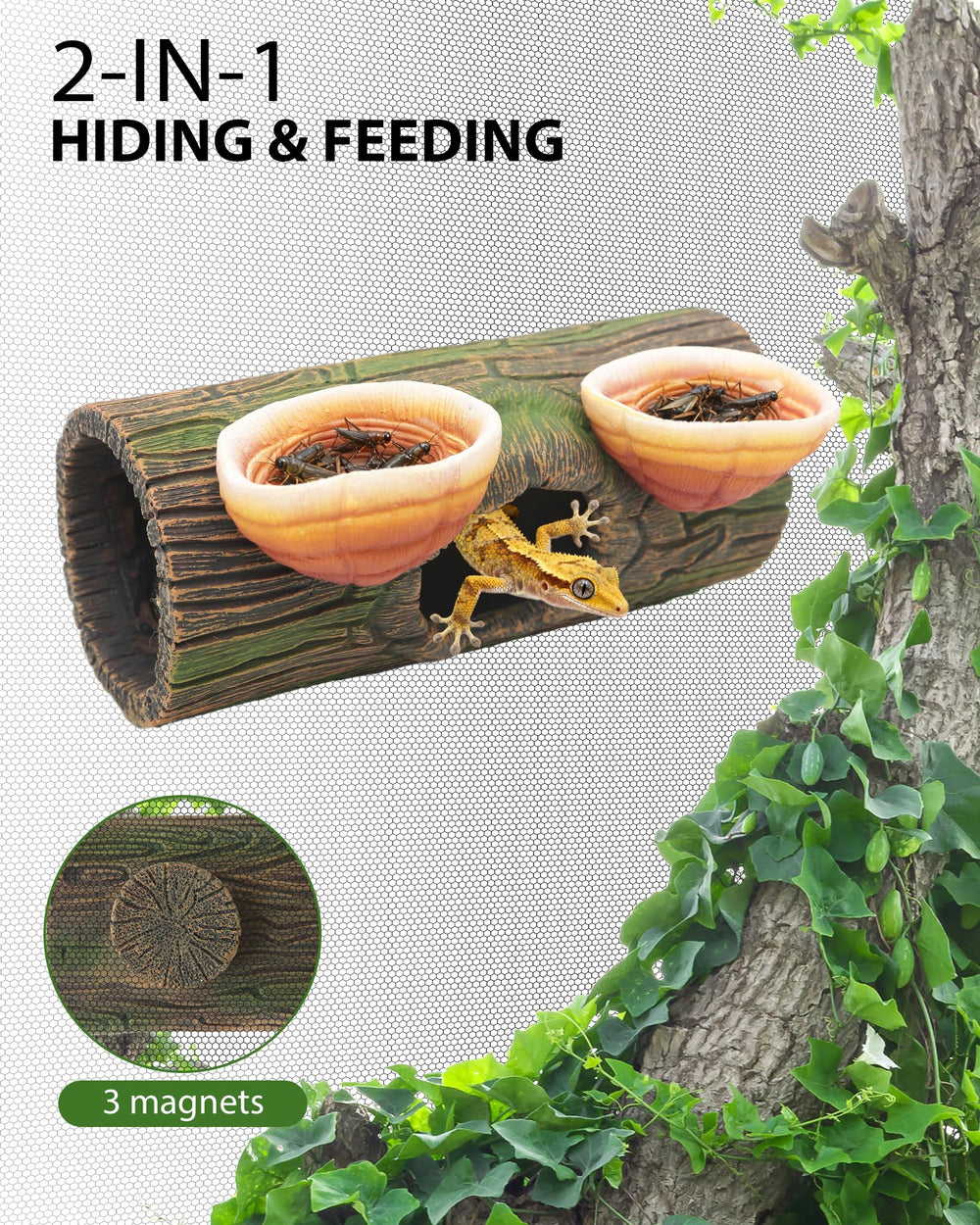 REPTITRIP cuenco alimento agua, práctica fuente de comida y agua para tus reptiles.
